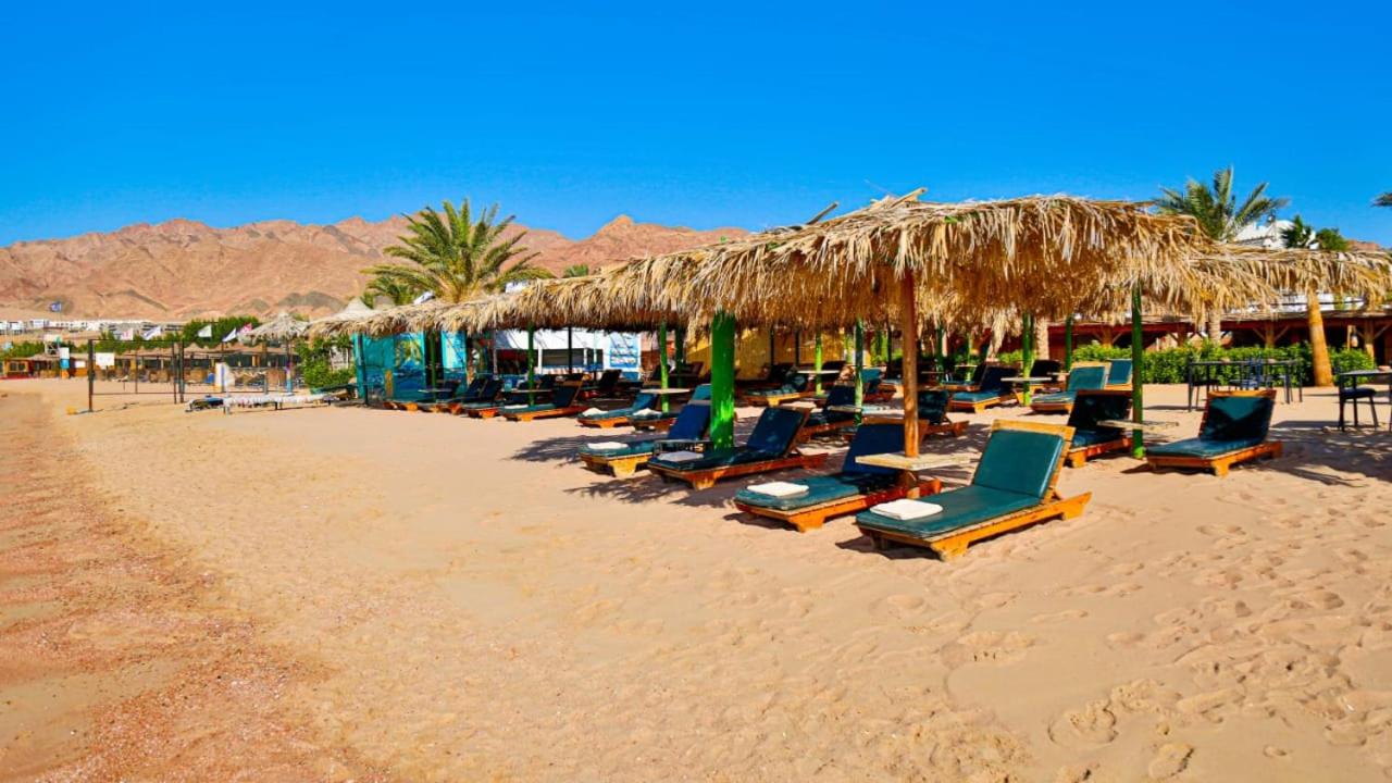اقوي عروض فندق باندا دهب ريزورت - بالانتقالات 2022 | Panda Dahab Resort